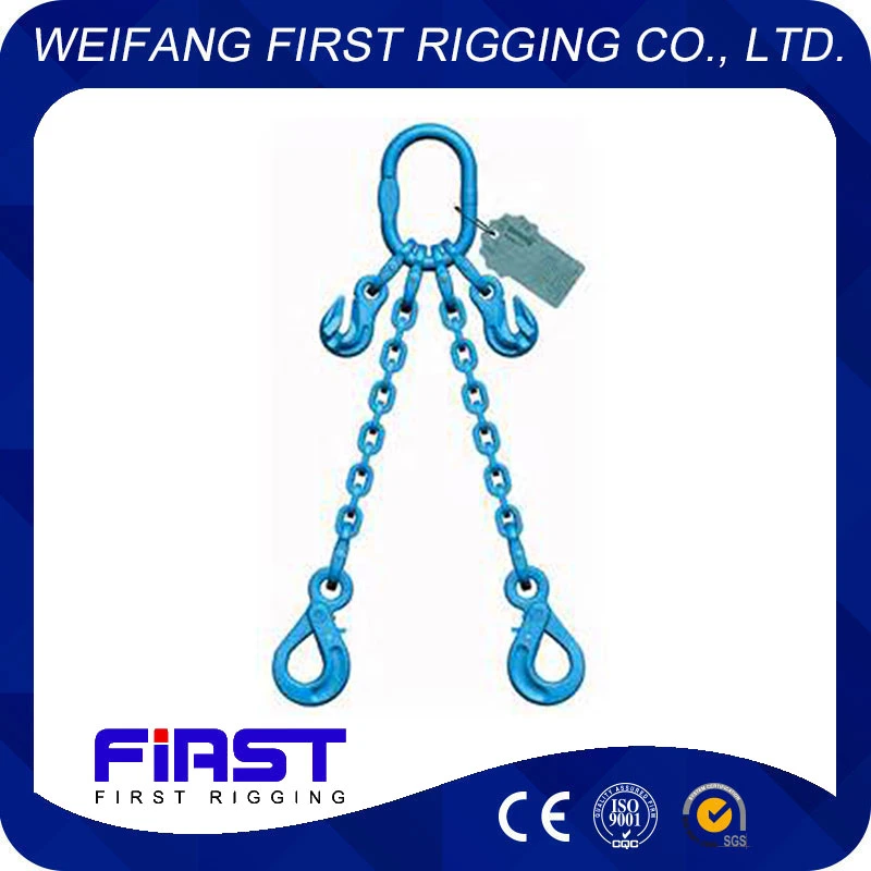 Quality Alloy Steel G100 Chain Sling with Twolegs for Lifting