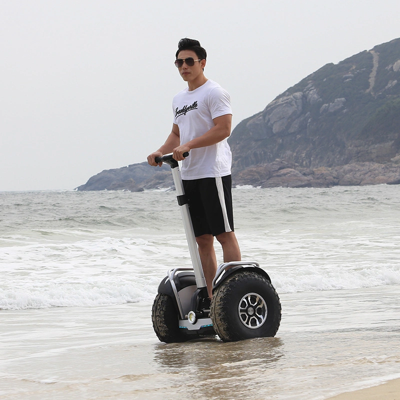 China Cheap Waterproof Standing Self Balancing E Scooter Electric Golf Scooter