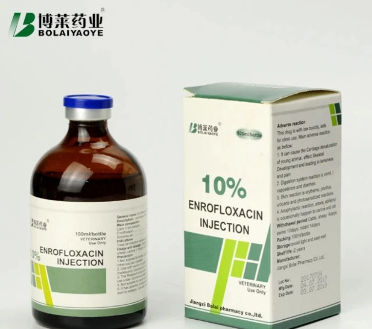 Good Price Enrofloxacin Injection 10% Liquid Injection 100ml Bolai