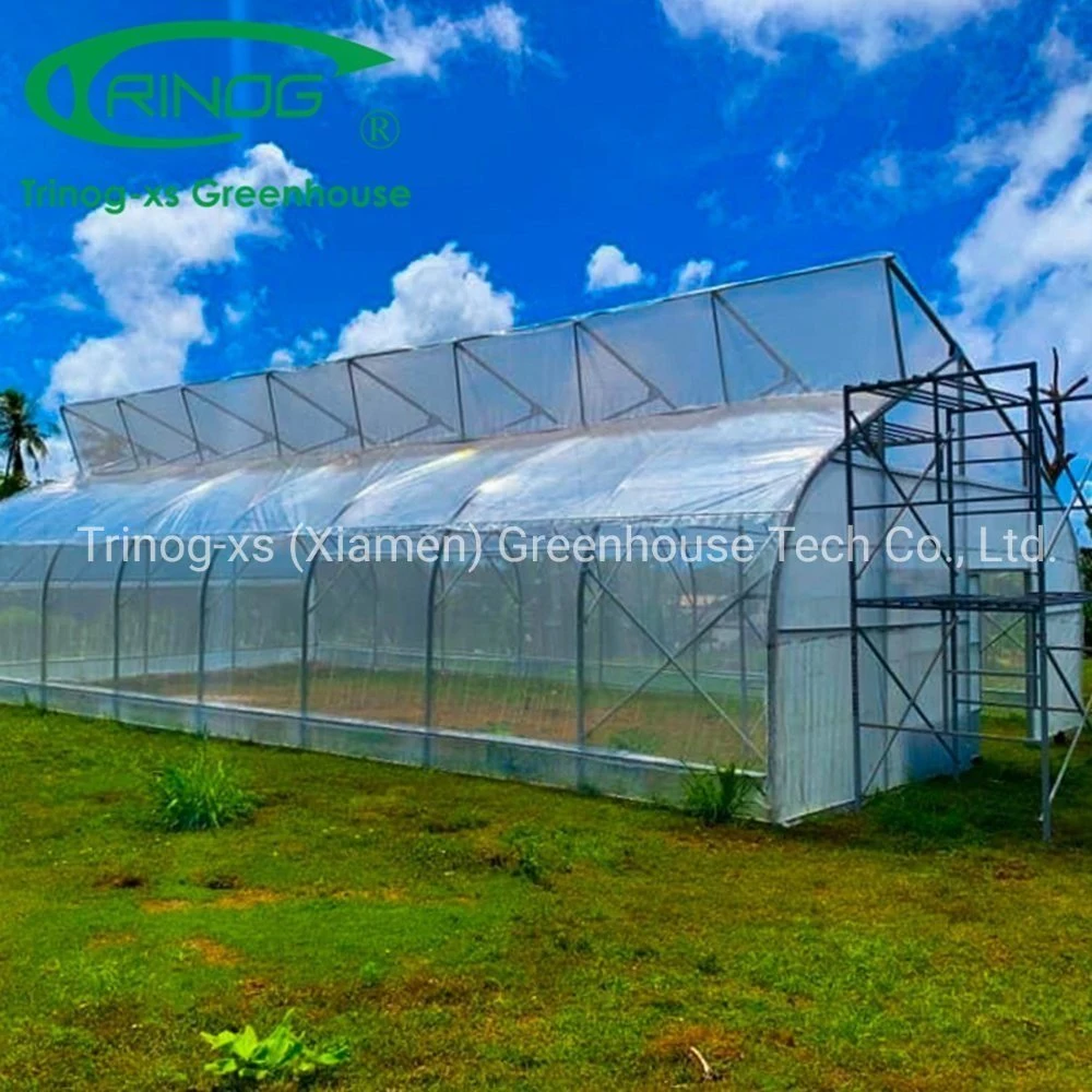 Trinog Greenhouse Cultivation Hydroponics System Single Span Film Greenhouse Agriculture Greenhouse for Sale