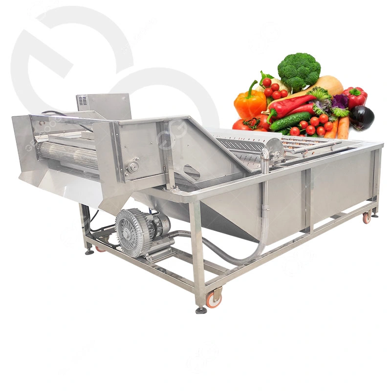 Longan Litchi Rambutan Fruit Washing Drying Line