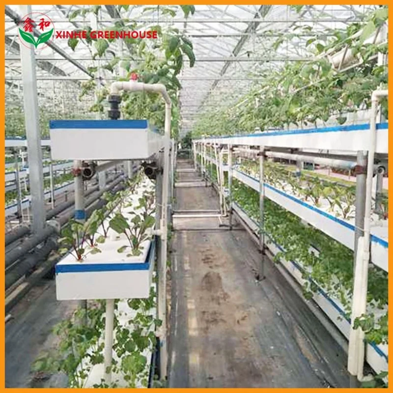 Verticle Hydroponic White, Green, Yellow, Custom Growing Systems Indoor Smart Home Vertical Farm Hydroponics System Greenhouse