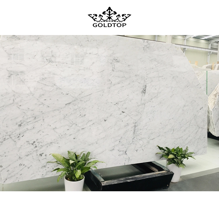 Natural Stone Wholesale/Supplier Carrara White Marble for Floor Tiles/Wall Tiles/Slab Tiles/Countertop/Tabletop