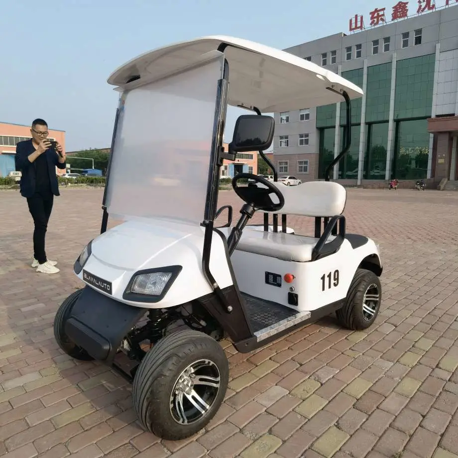 2 Seats Glof Carts 60V Electric Battery Powered for Golf Sports