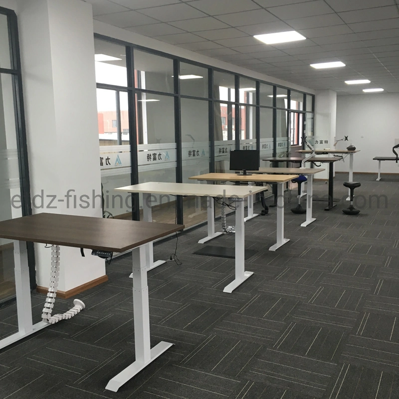 Modern Office Desk Sit & Stand Computer Height Adjustable Desk