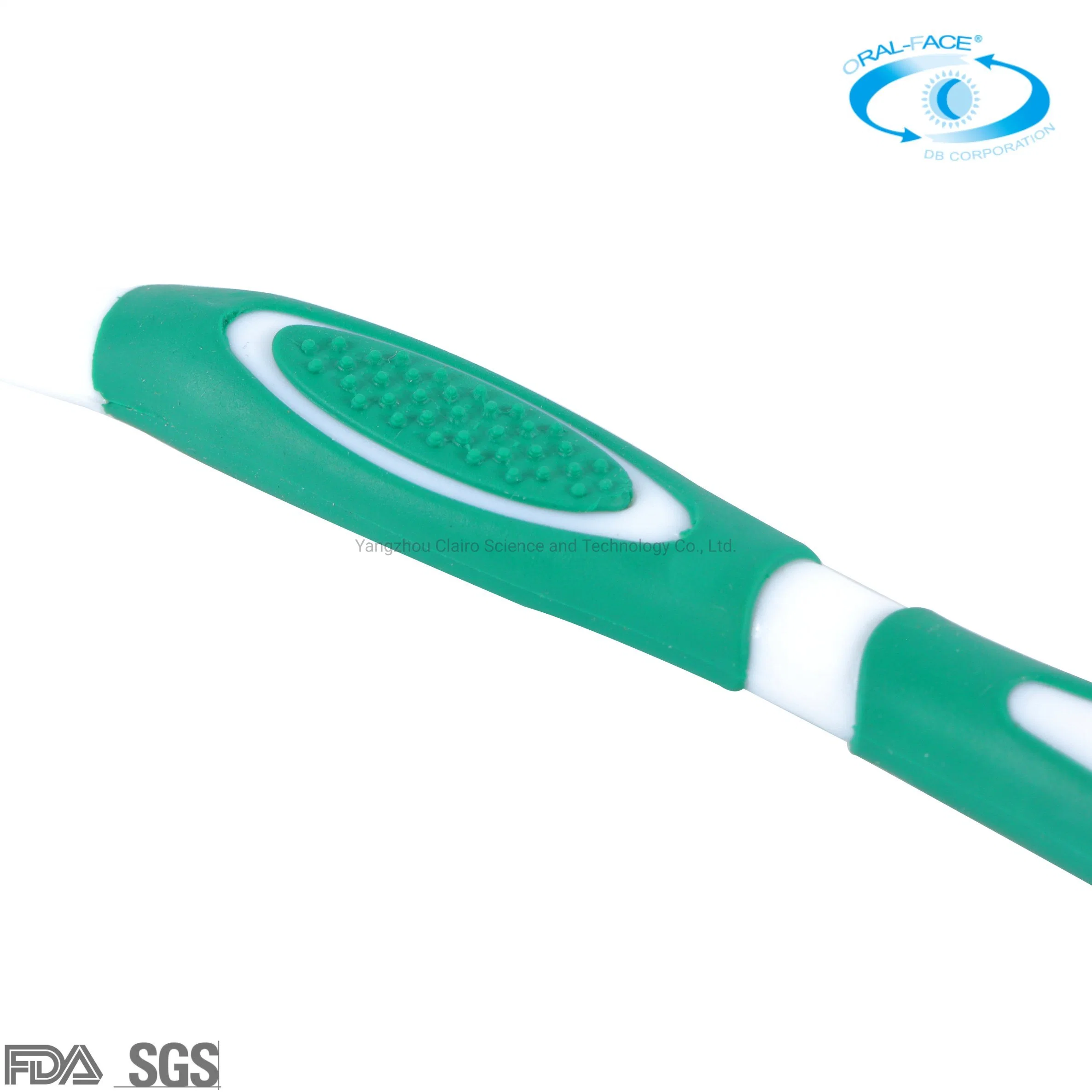 Wholesale/Supplier OEM on Time Delivery Adult Household/Travel Toothbrush with Caps