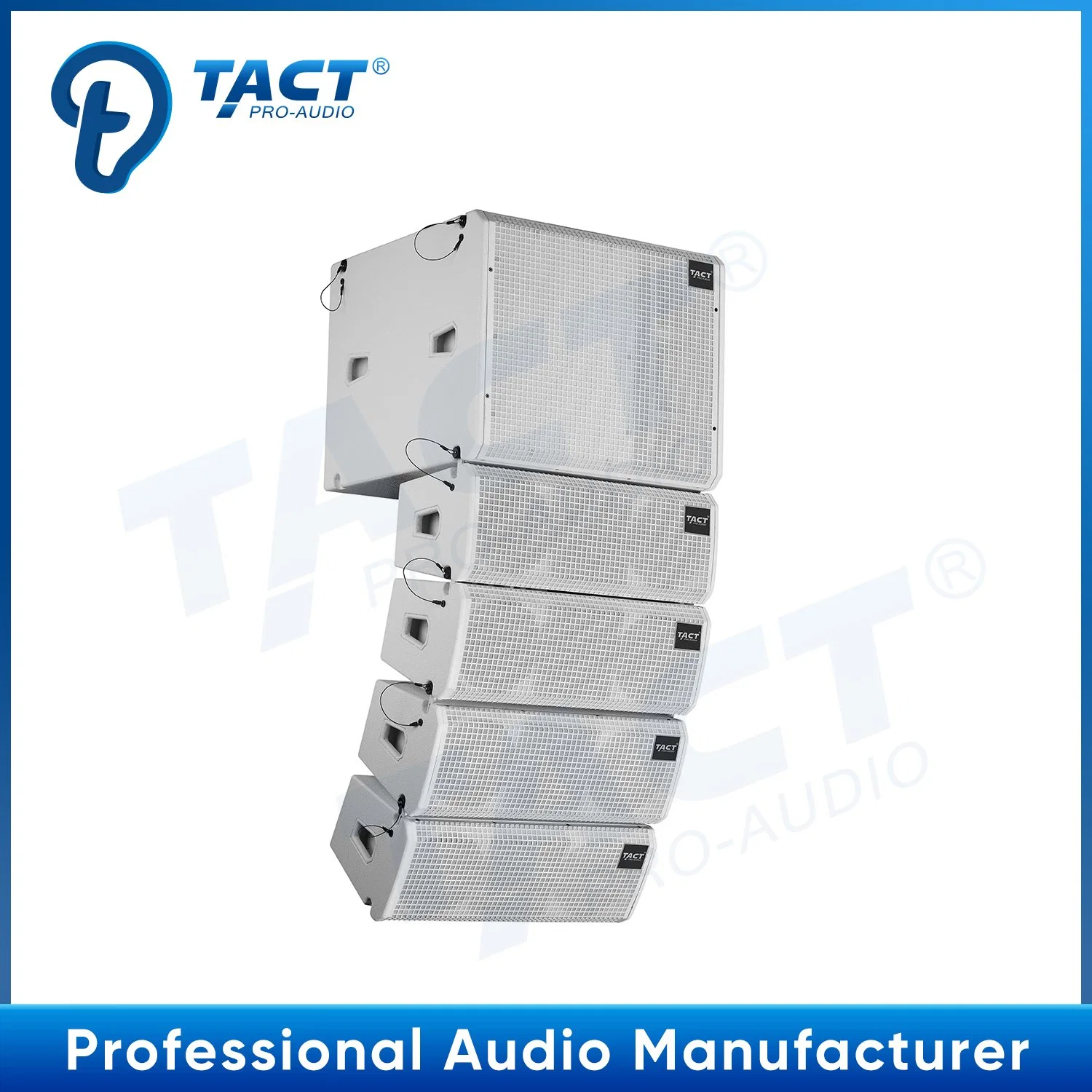 Tact Professional Audio Cox265b Double 6.5 Inch Line Array Speaker System