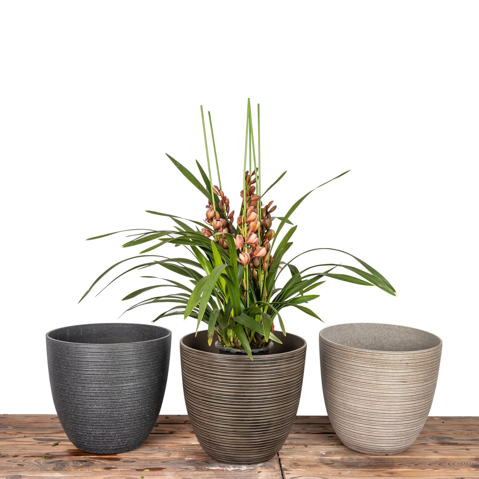 Factory Wholesale/Supplier Plastic Egg Flower Pot Natural Stone Finishing Eco-Friendly Pots