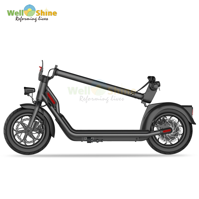 Electric Kick Scooter with Dual Motor for Adults