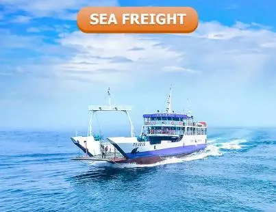 DDP Sea Shipping Professional Fba Freight Business China to Australia