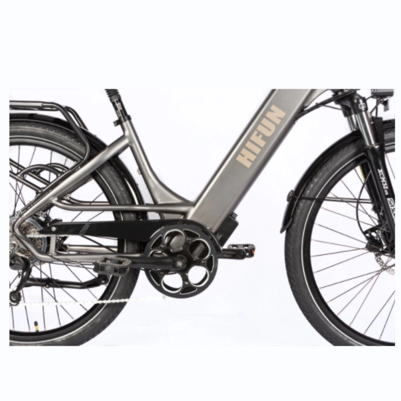 See 15 Comfort CE starkes Elektrofahrrad