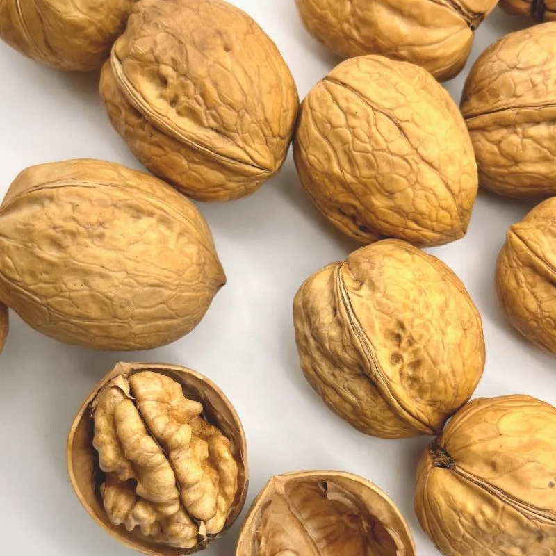 Chinese High quality/High cost performance Walnuts in Shell Paper Shell Walnuts