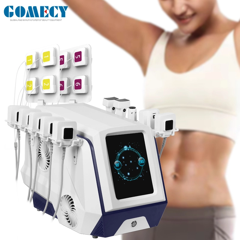 New Hot Portable EMS Body Sculpting Fat Dissolving Lose Weight Trushape Monopolar Focus RF Trusculpt Flex