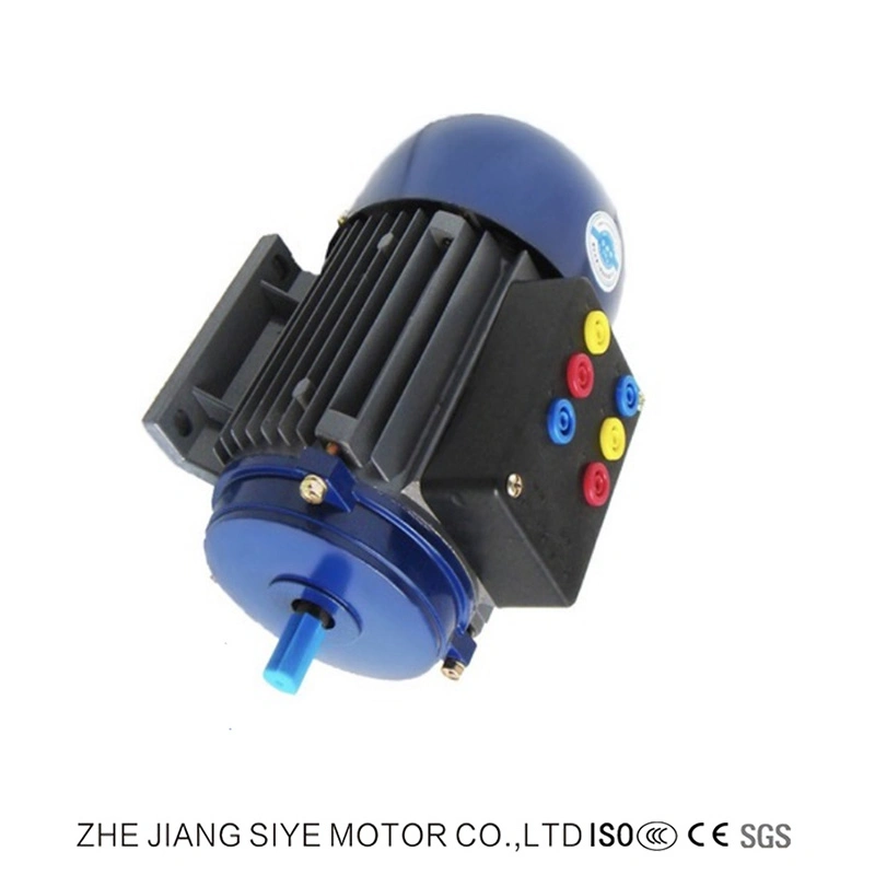 AC Single Phase Stepper Motors