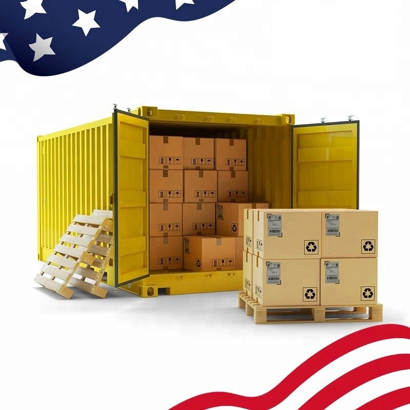 Global Warehouse Services mejor Servicio de Logística de Servicio de Agente de Envío