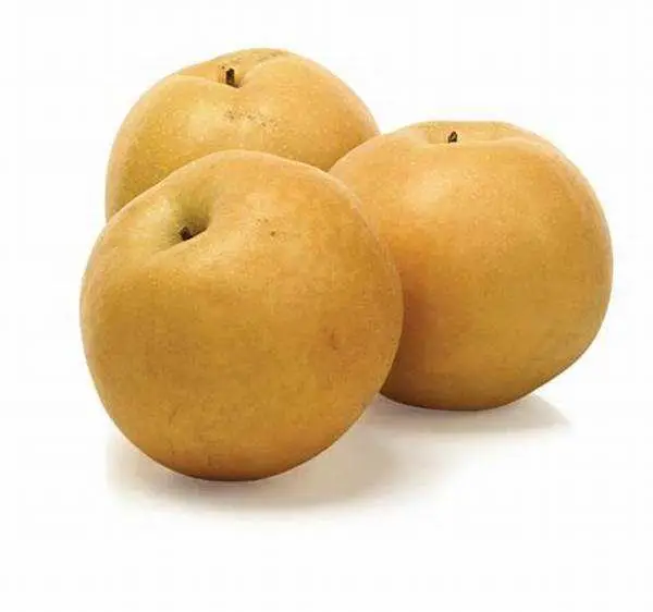 Chine fruits frais de la couronne Qiuyue poire avec pomme ISO HACCP Raisin orange