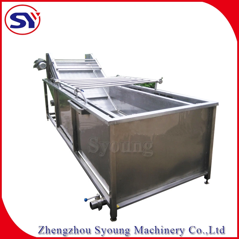 Air Bubbling Water Commercial Washer for Fruit and Vegetable Processing Line