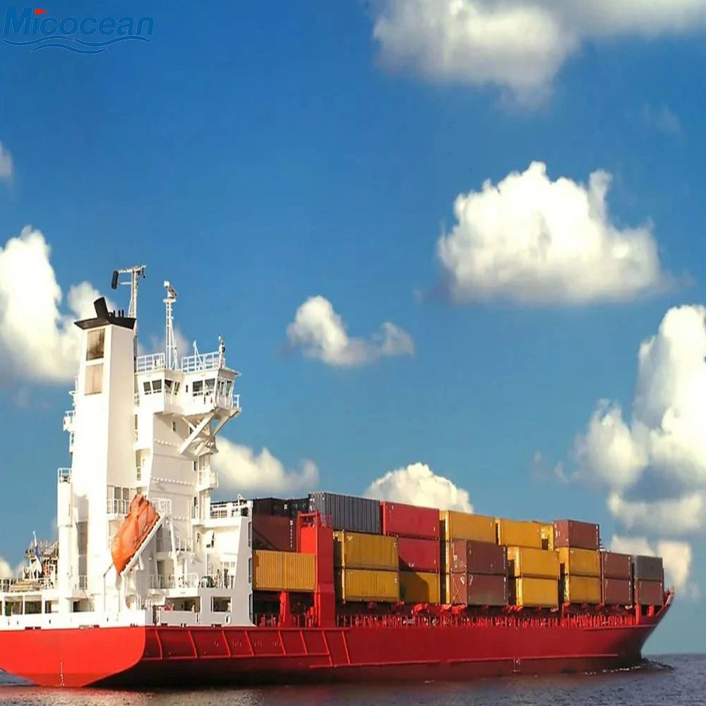 Shenzhen Responsible and Excellent Logistic Shipping Agent From Shenzhen/Shanghai to St. Petersburg, Russia