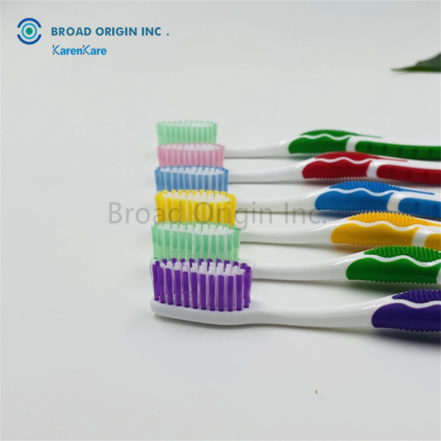 Dents pour brosse à dents pour adultes Cepillos dentaire Ortodoncia en gros