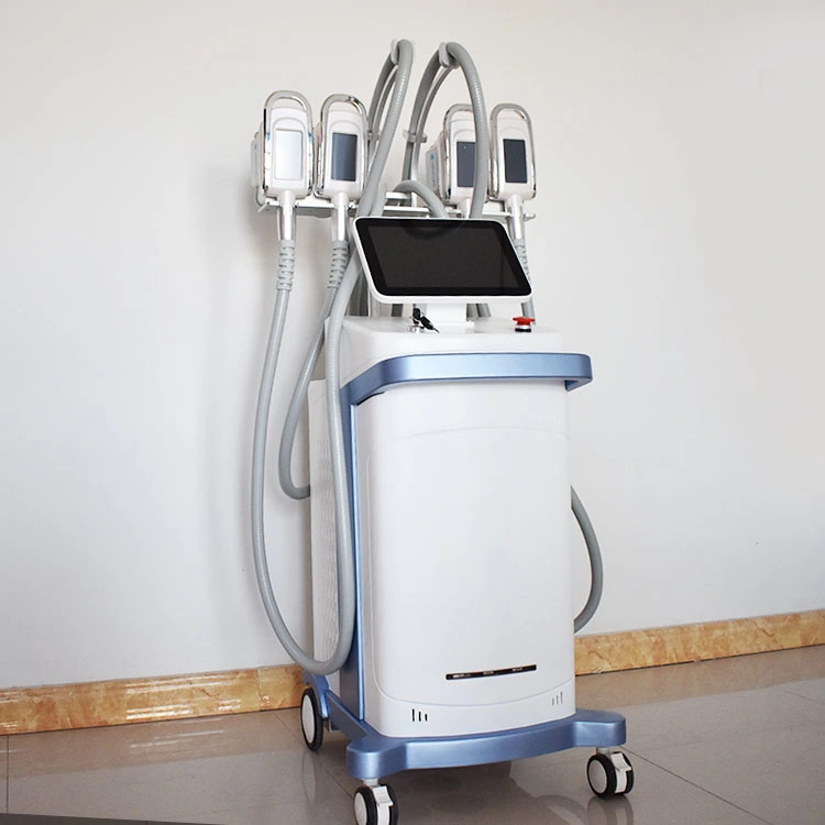 Fat Freezing Cryolipolysis System Multipolar RF Cavitation Fat Reduction Multiple Weight Loss Beauty Machine