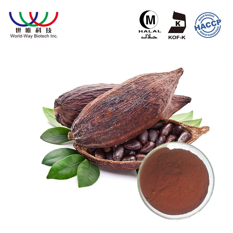 Professional Factory Supply Pure Natural Plant Extract 10% 20% Theobromine Cocoa Extract Powder