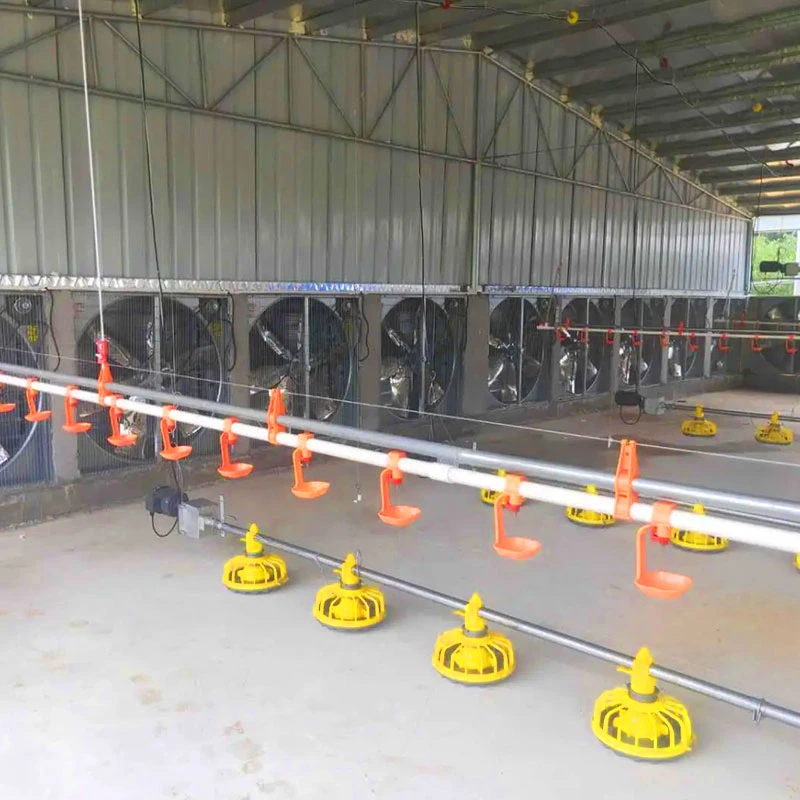 Automatic Poultry Feeding/Drinking System Breeding Equipment for Farm Ground Floor Raising Used for Cow/Duck/Chicken with Fan Curtain/Hopper Tower/Water Line