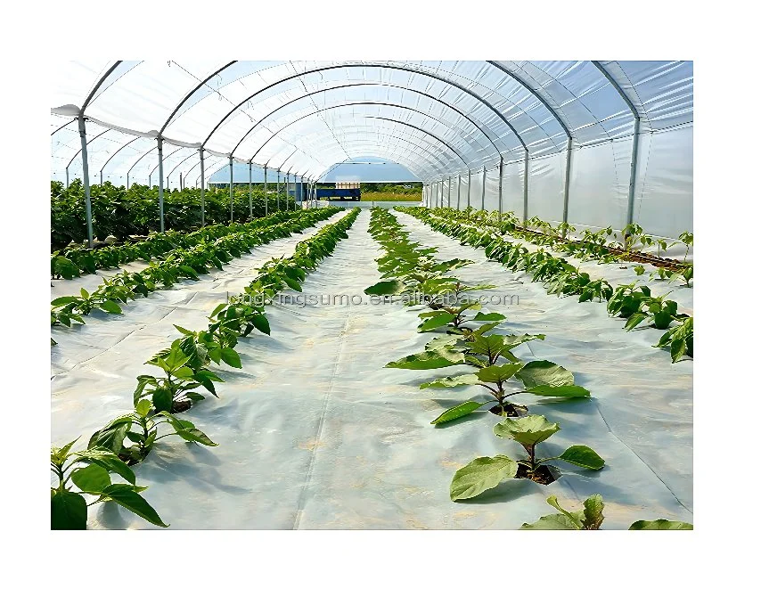 Plastic Film Greenhouse Heat Resistant Film for Greenhouses Anti Drip Woven Greenhouse Film Polycarbonate Plastic