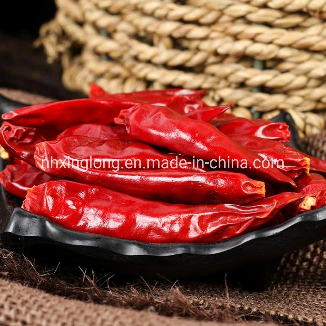 Premium Qualität Trocken Rot Tientsin Chili Sanying Chili Japones Chile /Rote Cayennepfeffer/Tianjin Chili