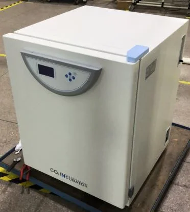 Laboratory Electrical Thermostat Incubator Machine, Constant Temperature Cells Incubator Chamber