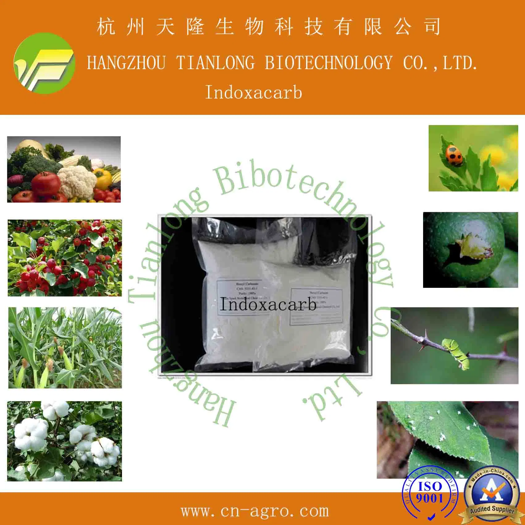 Insecticide Indoxacarb 95%TC, 97%TC CAS 173584-44-6