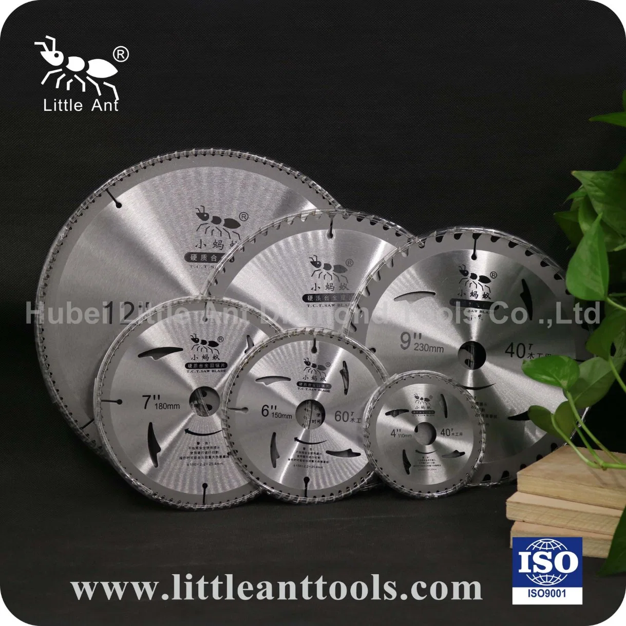 Tct Round Saw Blade for Grass