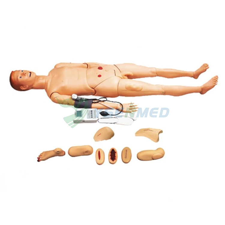 المعدات الطبية التدريب على التمريض Manikin (مع قياس ضغط الدم) Ysbix-H2400