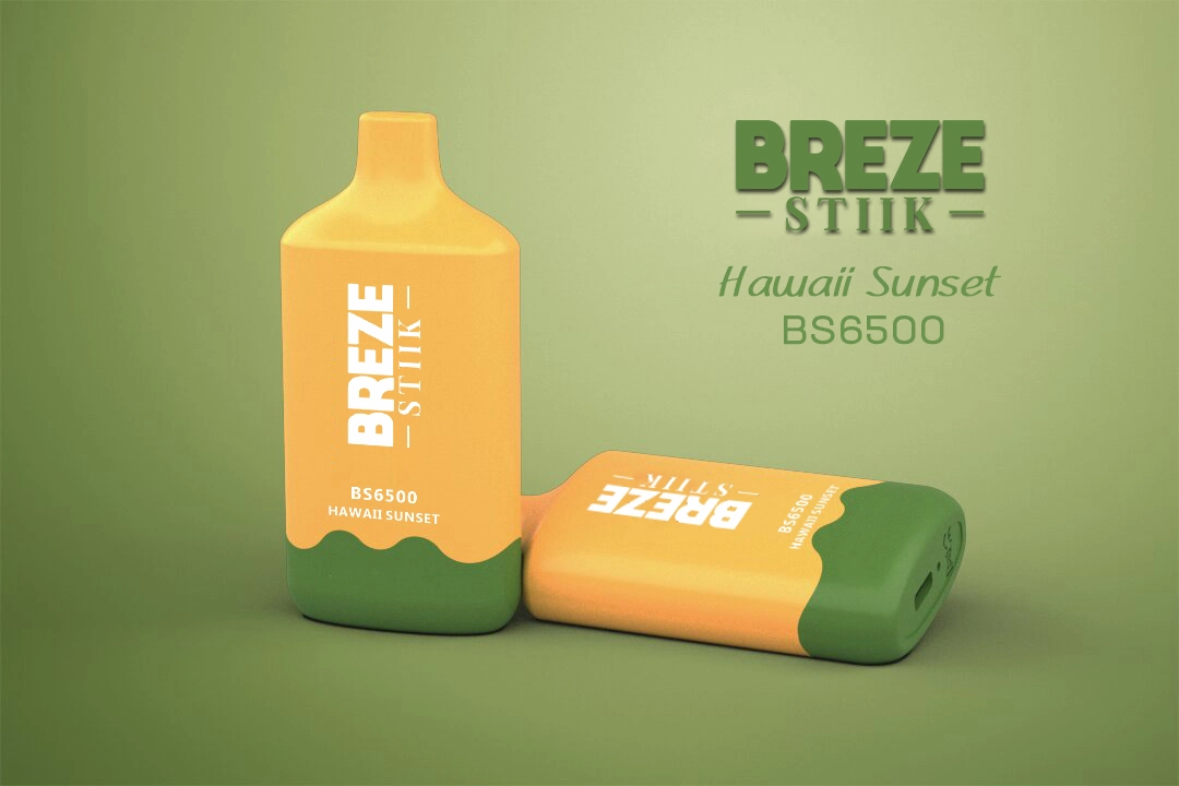 Einweg-Vape Breze Stiik BS6500 15ml 6500 Puffs mit wiederaufladbaren 400mAh Akku