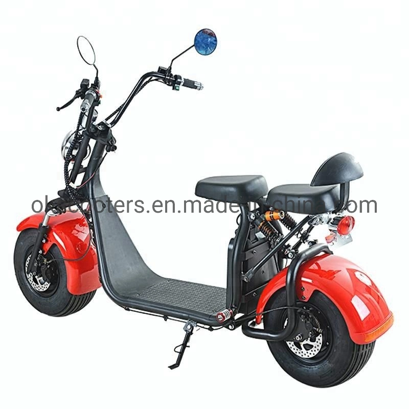 Factory Electric Scooter Parts Electric Moped Electric Motor Bicycle EEC 2+ Warranty