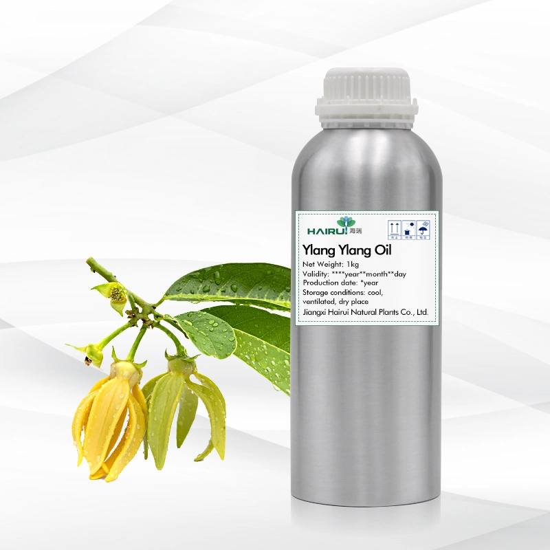 Bio ätherisches Öl Beauty Produkt für Massage Ylang Ylang Öl