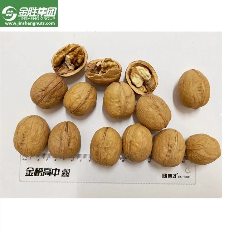 Elh 185 Walnut Kernels