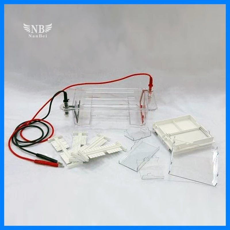 Double Vertical Gel Electrophoresis Apparatus with Reliable Quality