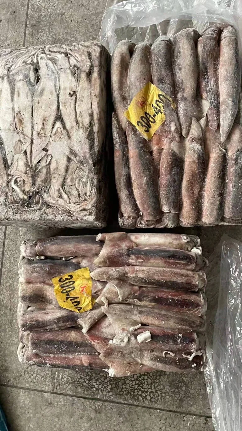 Taiwan Origin Unfixed Weight Illex Squids Frozen Whole Price Argentina Squid