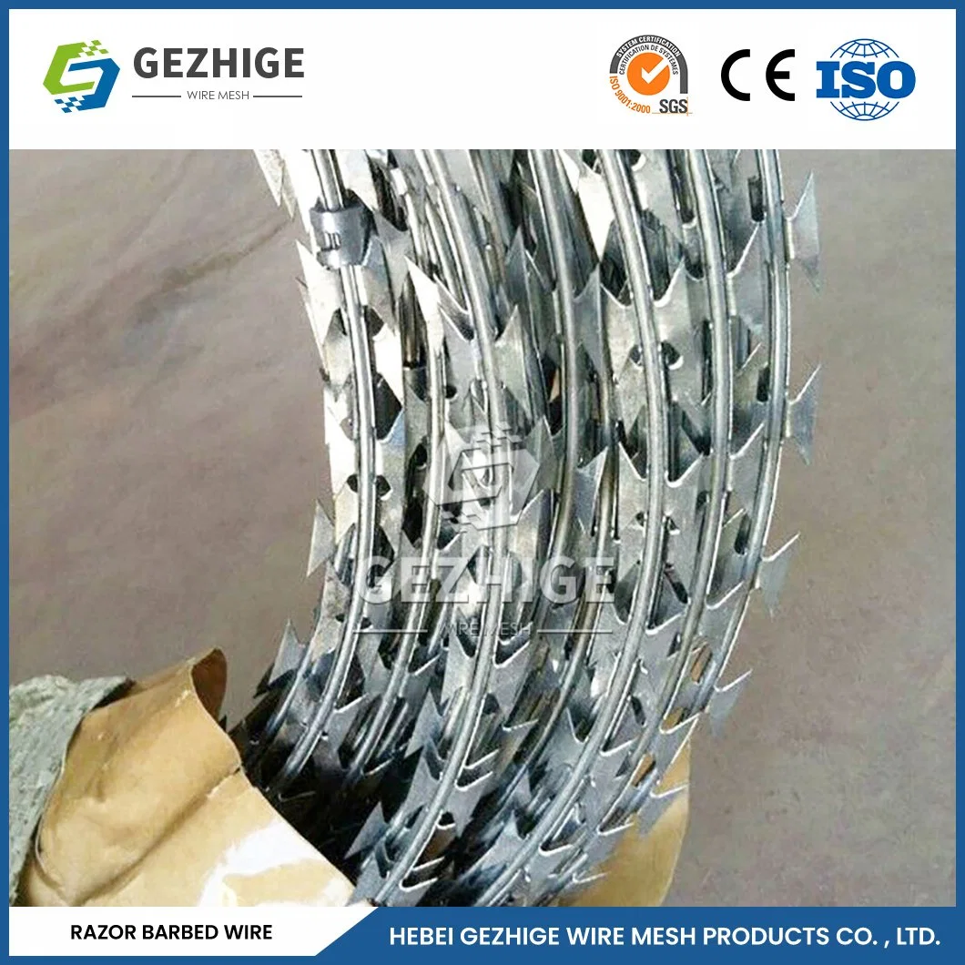 Gezhige Residential Barbed Wire Wholesale/Supplierr 60mm Needle Spacing Cross Type Razor Wire China 5mm Diameter Steel Razor Wire