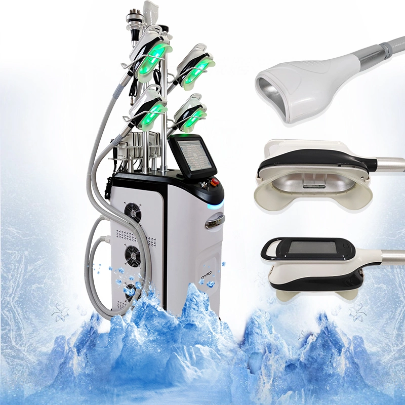 New Arrival 2023 Standary Cryolipolysis Slimming Machine 360 Fat Freezing Machine Cryolipolysis Machine with 5 Handles