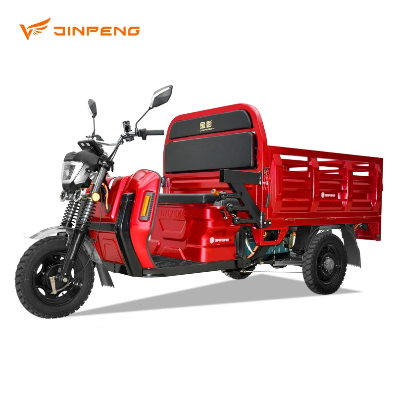 Jinpeng Low Speed Big Powerful 1000W Electric Tricycle Electrique for Cargo