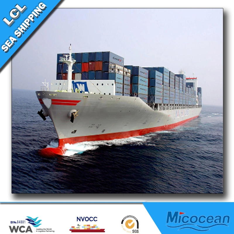 Sea Shipping LCL Service, From China to Riga, Latvia