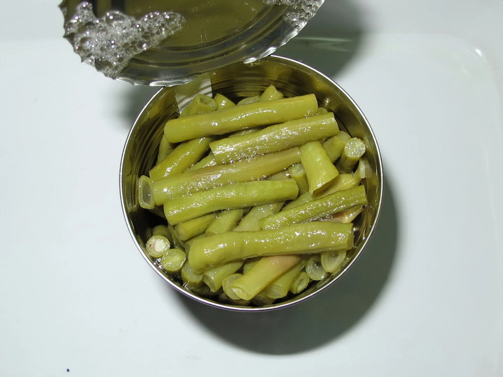 Fresh Natural Vegetable Canned Green Bean in Brine