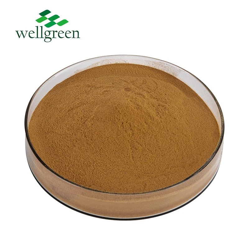 Free Sample Wellgreen Supply Favourite Price Product Green Tea Extract Tea Polyphenol 98% Powder