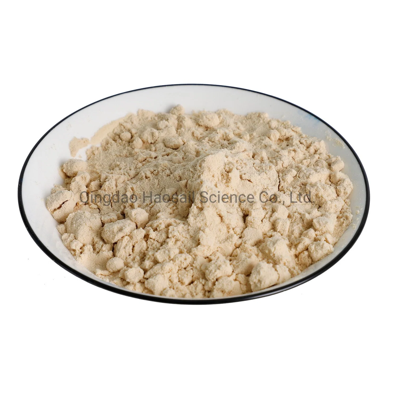 Vegan Protein Organic Protein Powder Rice Protein Powder