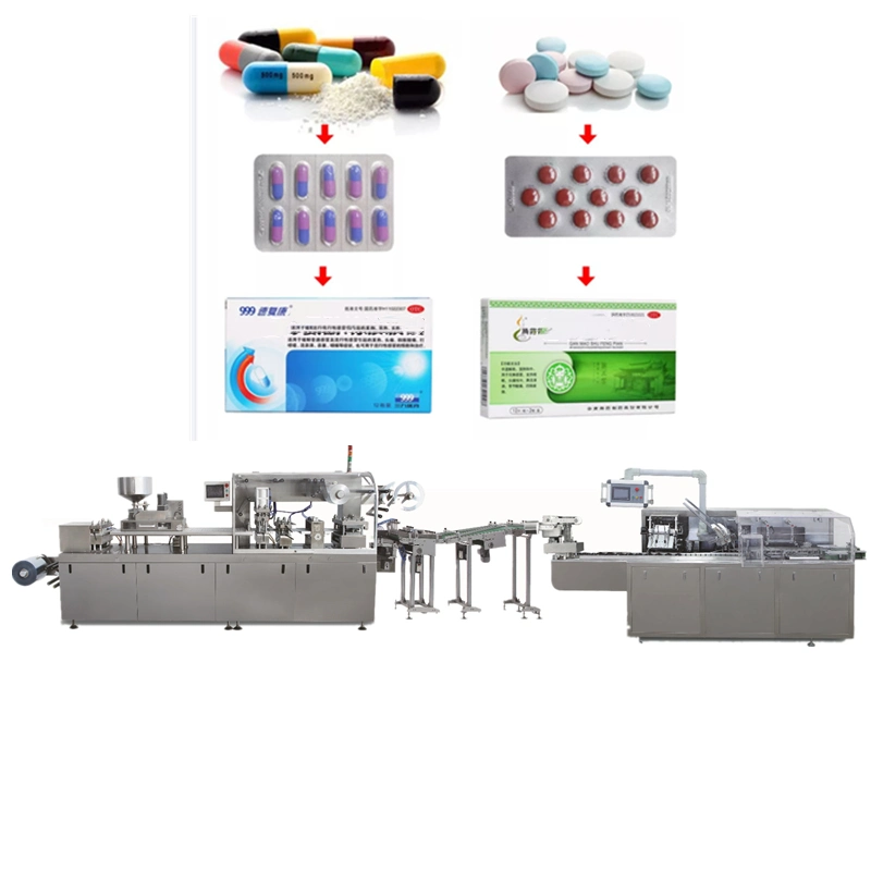 Dhz-120b High Speed Blister Making/Packing/ Cartoning Machine Full-Automatic Medicine Plate Packing Box Production Line Machine Manufacturer