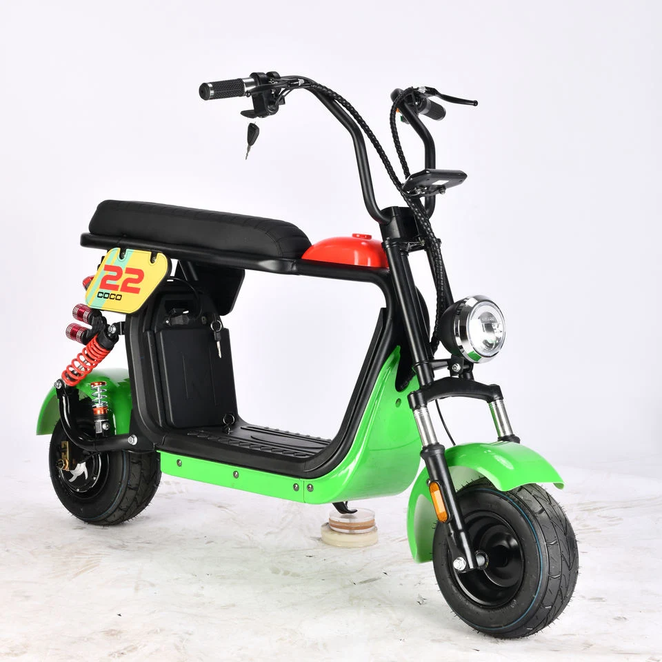 New Style Cheap Price Electric Bike 10inch 48V 1000W Esooter Fat Tire Motorcycle Electric with Max Loading 150kg