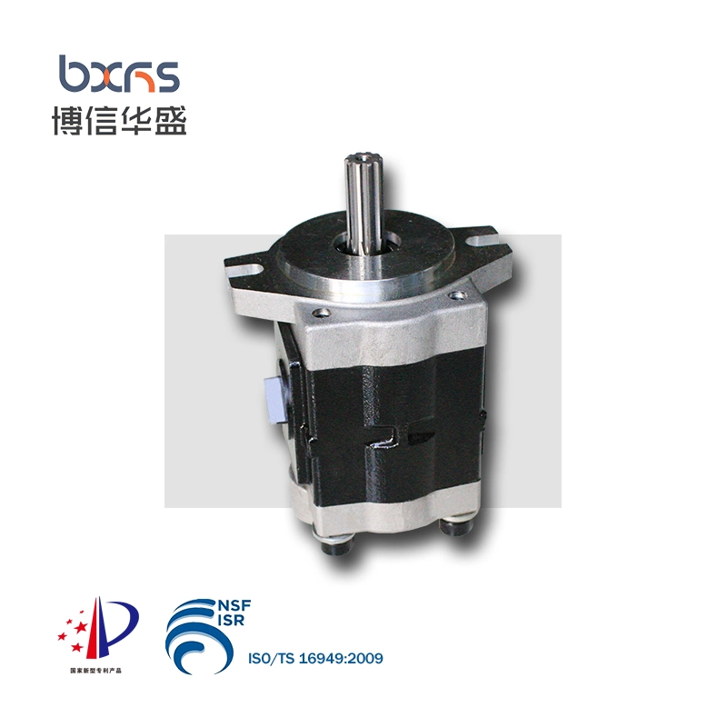 Cbhs-F20 Series Hydraulic Aluminum Gear Rotary Pump for Electric Forklift