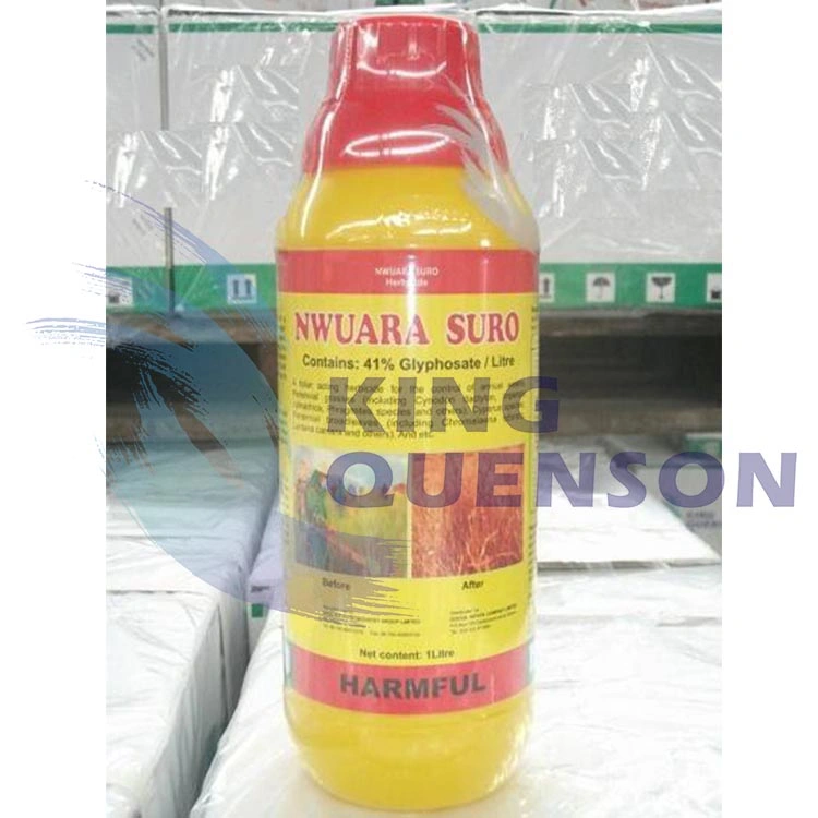 King Quenson Fast Delivery Weedicide Glyphosate 95% Tc Glyphosate 41% SL Herbicide