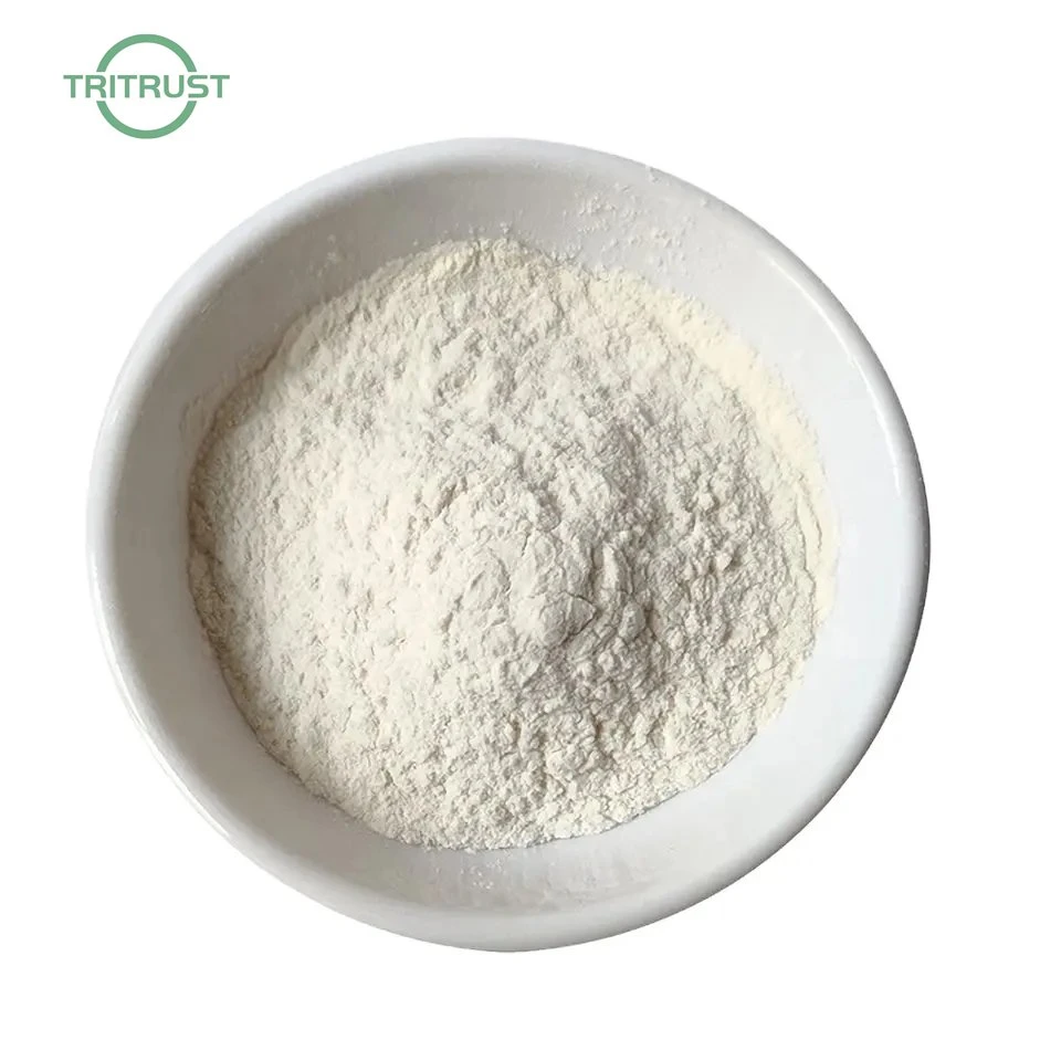 Precio Polygonum cuspidatum antioxidante Resveratrol Polygonum cuspidatum Extract Polydatina